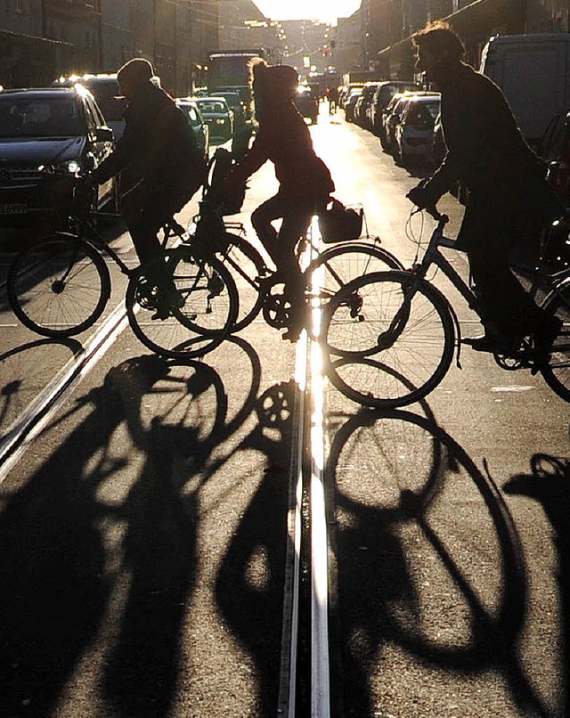 2013 kamen in Deutschland 354 Fahrradfahrer bei Unfllen ums Leben.  | Foto: dpa