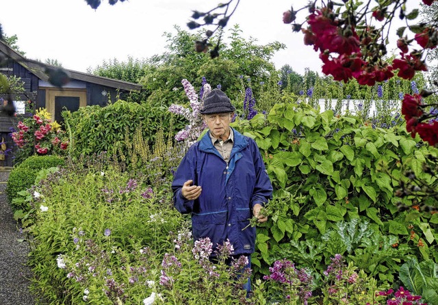 In der Kleingartenanlage im Haberfeld ...ng und wurde von einer Jury bewertet.   | Foto: Lendle