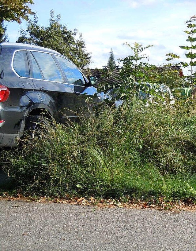 Unkraut in Degerfelden &#8211; oder ffentliches Grn?   | Foto: Privat