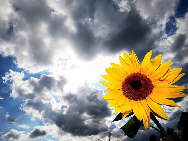 Etwas Sonne, viele Wolken, sehr turbulent: Der Sommer 2014  | Foto: dpa