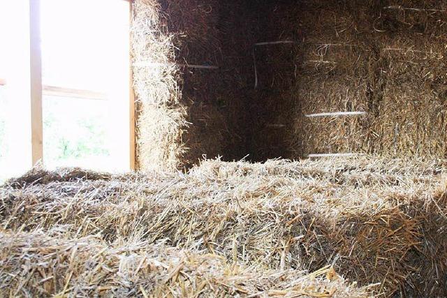 Ein Wohnhaus (fast) ganz aus Stroh entsteht in Ettenheim