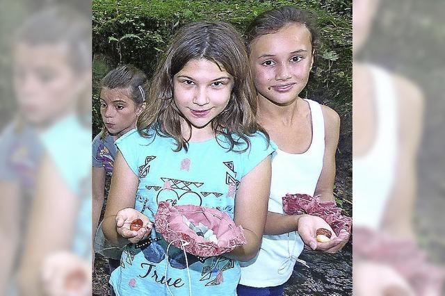 Erfolgreiche Schatzsuche im Wald