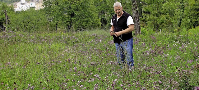 Otto Ruppenstein auf der Orchideenwiese bei Istein  | Foto: Jutta Schtz