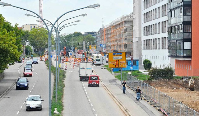Baustelle an allen Ecken und Enden der...Elefantenweg ist auch gerumt (rechts)  | Foto: Bamberger