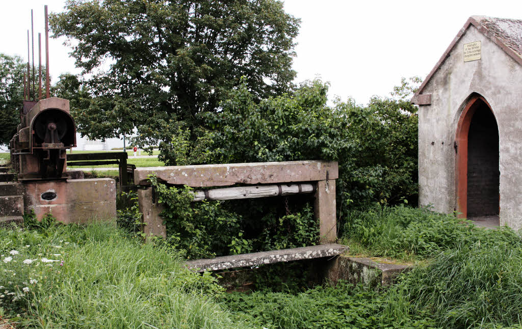 Die Wiesen als Lebensgrundlage - Bahlingen - Badische Zeitung