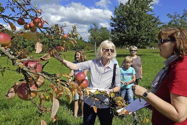 Auch der Ontario erhlt einen Paten