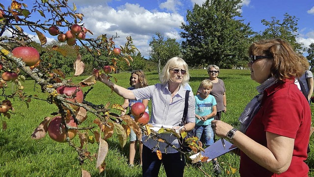 Den zuknftigen Baumpaten bot sich auf...swahl an reich behangenen Obstbumen.   | Foto: Claudia gempp