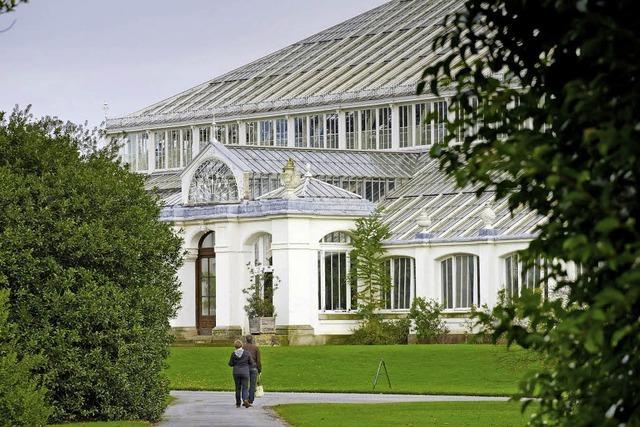 Ist die Londoner Touristenattraktion Kew Gardens bedroht?