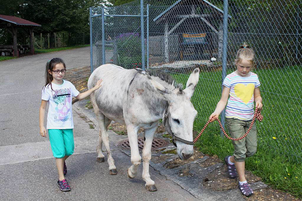 Eselswanderung  in Ringsheim