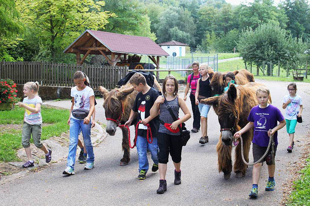 Eselswanderung  in Ringsheim