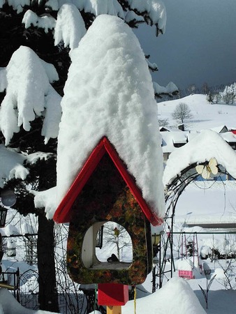 Anja Kiefer-Jurd: ..... offene Tren fr hungrige Vgel!Winter 2013 in Marzell