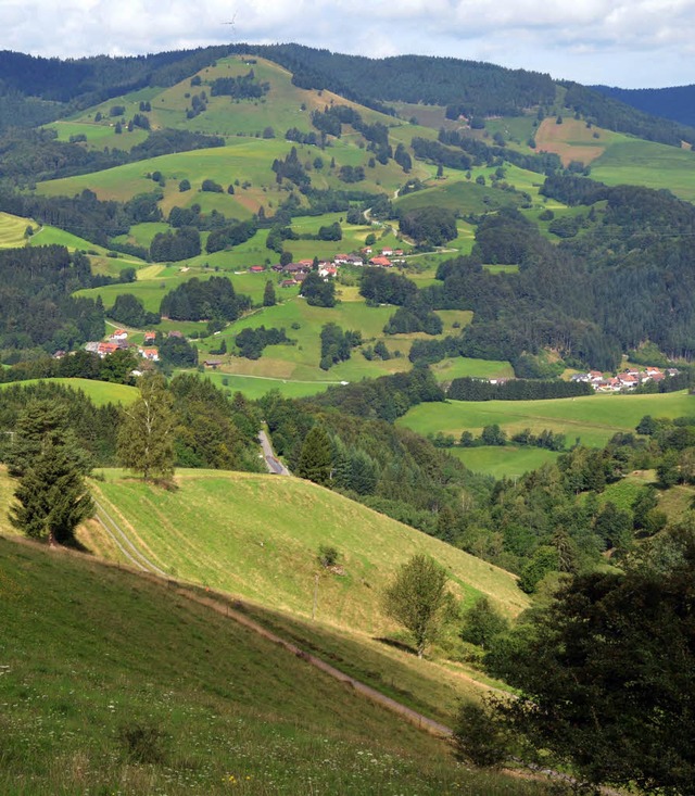 Blick ins Wiesental   | Foto: Reich