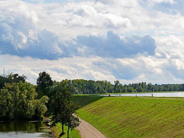 Hochwasserschutz (hier bei Schwanau) ist aufwendig und teuer.  | Foto: dpa