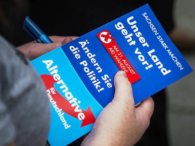 &#8222;Unser Land geht vor&#8220;: Ein...ts will die Partei dennoch nicht sein.  | Foto: AFP