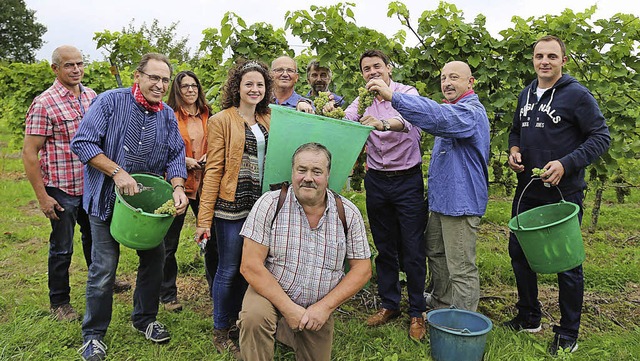 Das Weinfest kann kommen, die Trauben fr den neuen Sen sind gelesen.   | Foto: sandra decoux-kone
