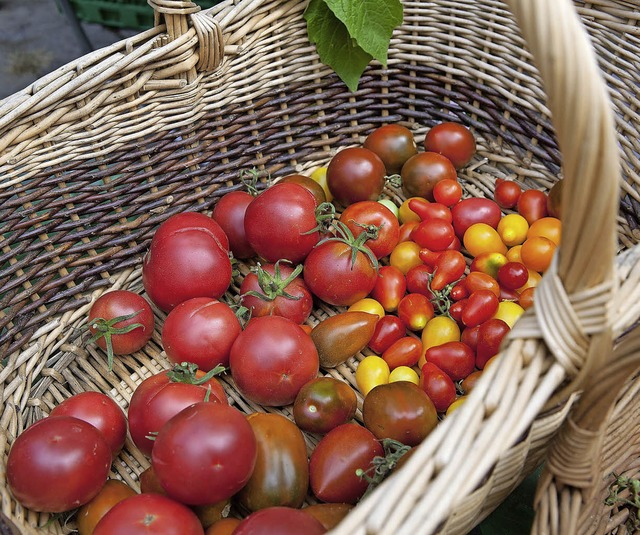 Tomaten verschiedener Farbe und Form   | Foto: ZVG