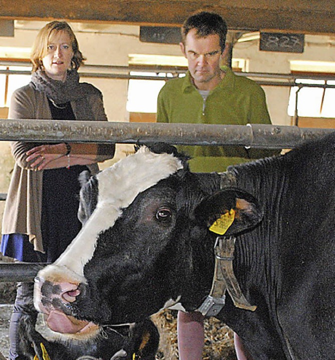 Rainer Bank fhrt die Bundestagsabgeor...rstin Andreae durch seine Stallungen.   | Foto: Gerhard Lck