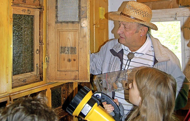 Kinder und Erwachsene knnen sich im B...die Bienenwaben ganz genau anschauen.   | Foto: Hans-Dieter Folles