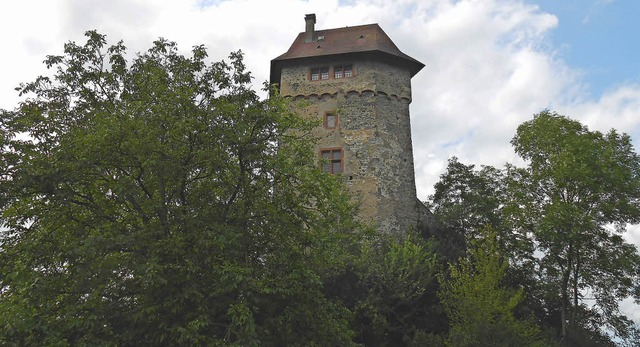 Die Burg Sponeck liegt  am Waldrand. A...fenen Denkmals ist sie zu besichtigen.  | Foto: Simon Tenz