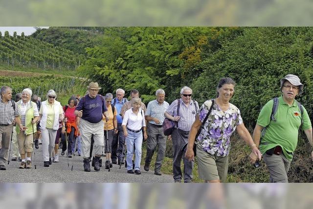 Wissenswertes rund um Lahr