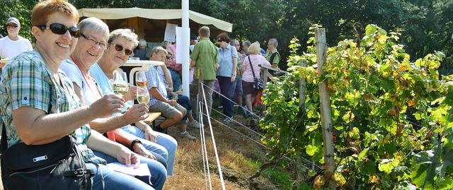 Weingenuss mit Blick auf Reben und Rhe...eimatdorf, drauen am Rhein, schauen.   | Foto: Harald Rudolf