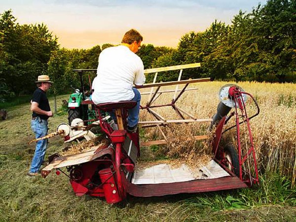 Reiner Bauer: Hafer mhen und "ablegen" mit einer der ersten landwirtschaftlichen Maschinen - in Welmlingen