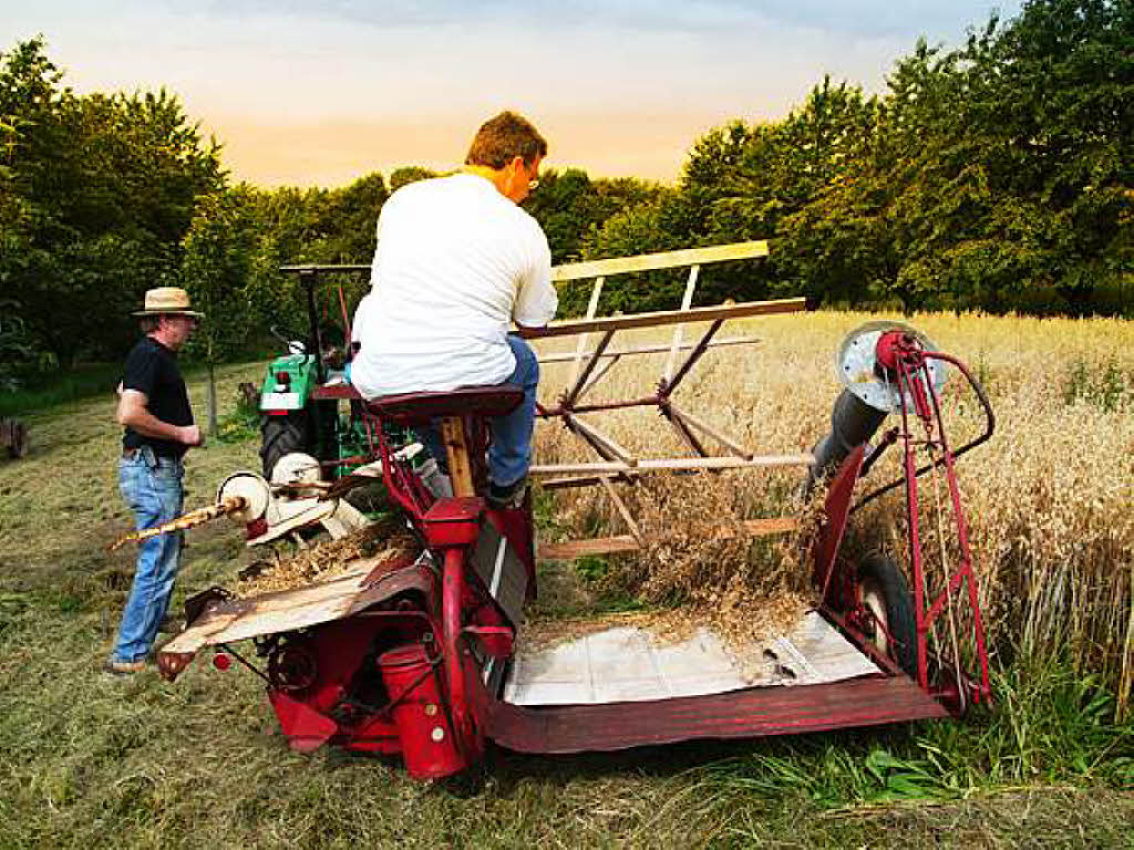 Reiner Bauer: Hafer mhen und „ablegen“ mit einer der ersten landwirtschaftlichen Maschinen - in Welmlingen