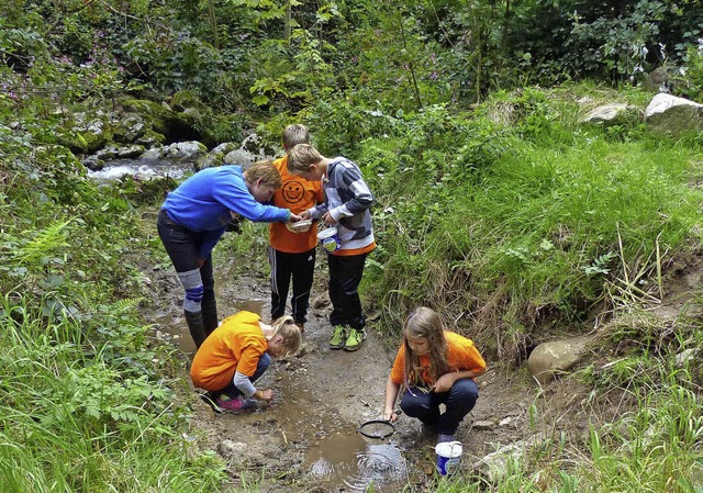 Die jungen Forscher erkunden das Gewsser  | Foto: Barbara Odrich-Rees