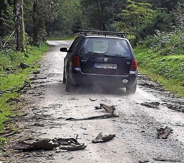 Weil fr Langholzabfuhren immer wenige...ck &#8211;  wie hier auf dem dland.   | Foto: Wolfgang Adam