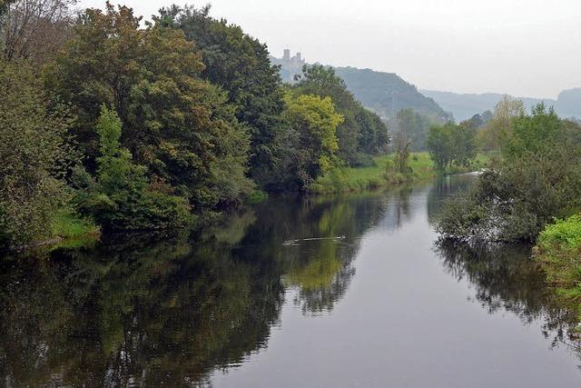 Wiese-Renaturierung verzgert sich