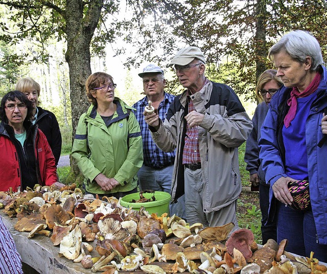 Pilzexperte  Helgo Bran bestimmt die gesammelten Pilze.   | Foto: bbr