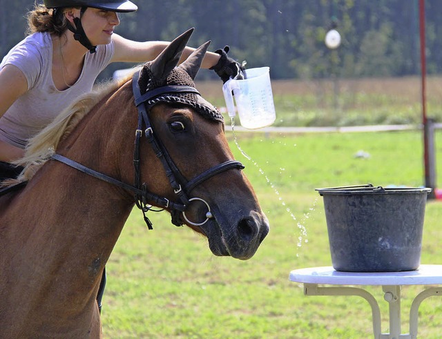 Mal im Behlter, mal im platzenden Luf...i den Reiterspielen eine groe Rolle.   | Foto: David