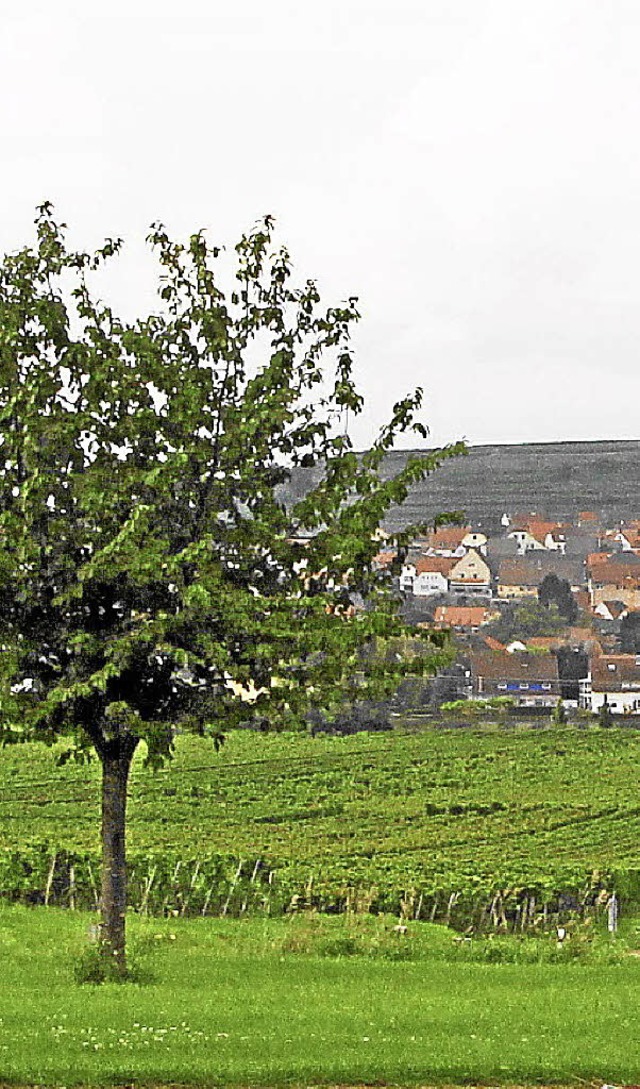 Auf diesem Aussichtsplatz am Henkenber...l eine Sitzgruppe aufgestellt werden.   | Foto: Herbert Trogus