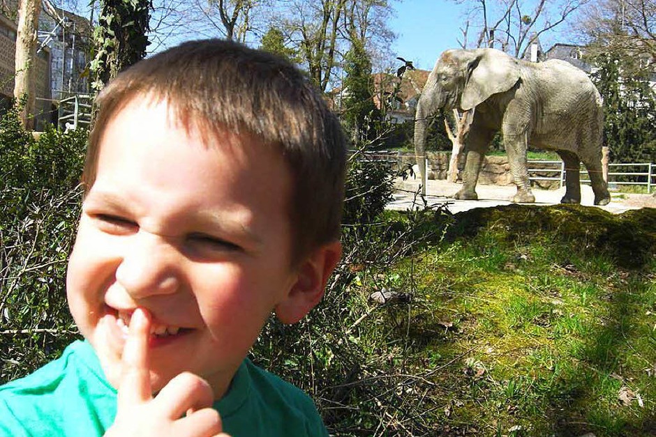 Im Zoo Basel (Foto: Anke Albrecht) Im Zoo Basel (Foto: Anke Albrecht)