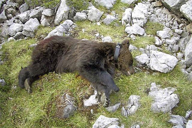 Brenmutter in Italien gettet