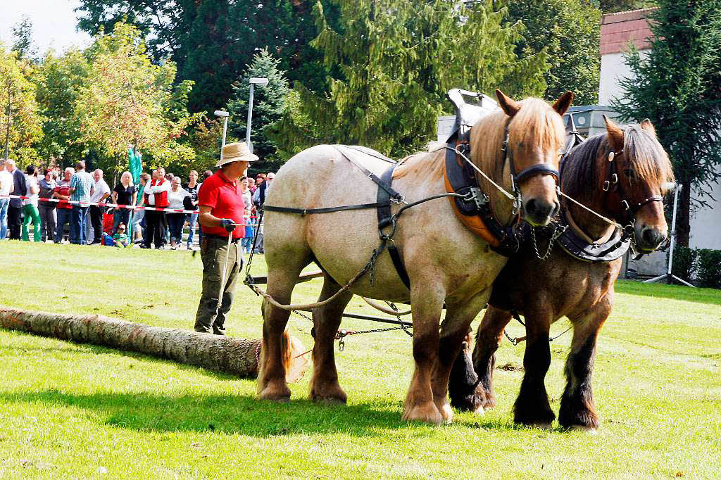 Der Festsonntag