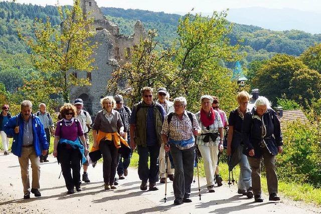 Fotos: BZ-Leserwanderung durch Teningen