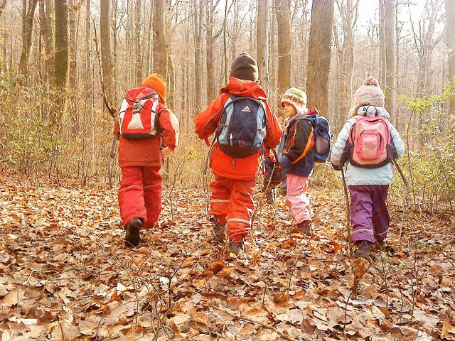 Den ganzen Tag im Wald &#8211; das kn...im geplanten Waldkindergarten in Rust.  | Foto: Privat