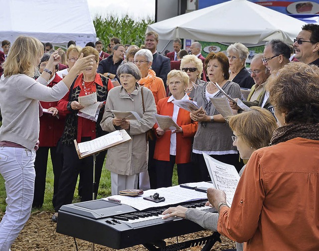 Der Gemischte Chor des Mnnergesangver... sang zum Verenenfest in Hochstetten.   | Foto: Hans-Jochen Voigt