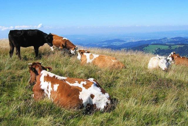 Mehr Geld fr die Hhenlandwirtschaft