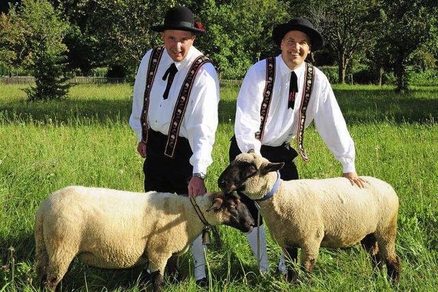 Almabtrieb und Juxturnier in Simonswald: Viecher und Bauernolympiade