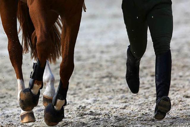 Polo und drei klassische Disziplinen in Donaueschingen