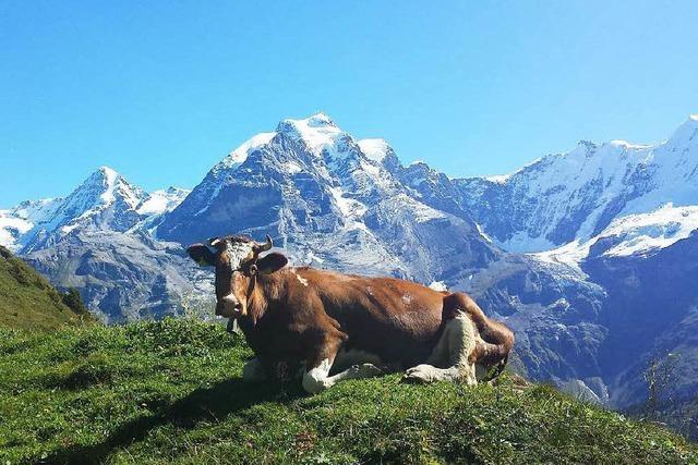 Ihre Fotos aus dem Urlaub!