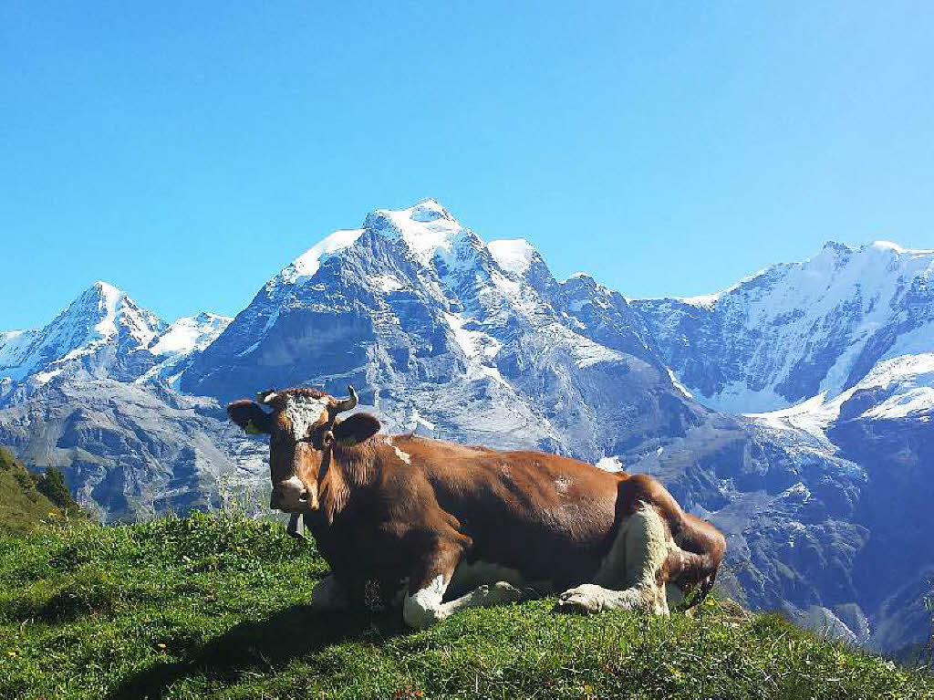 Berner Oberland, Schweiz