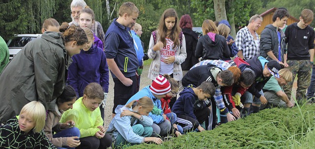 Schler und Forstauszubildende bei der... Wildbienen sichern und schaffen soll.  | Foto: Erika Sieberts