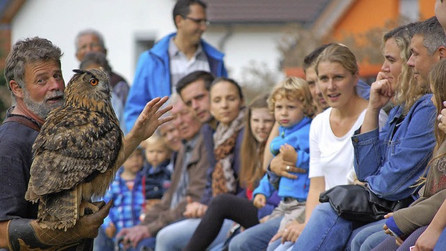 Hautnah informierte Berufsfalkner Fran...kende Flugschau,  im Bild Eule Bertha.  | Foto: dramac