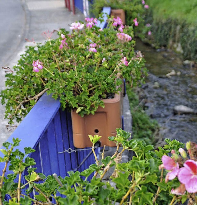 Wollen auch gepflegt sein: die Blumenksten an den Brcken.   | Foto: Steckmeister