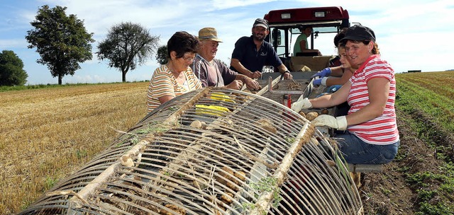 Viele Nebenerwerbslandwirte bauen Kart...re Generationen auf der Erntemaschine.  | Foto: Wilfried Dieckmann