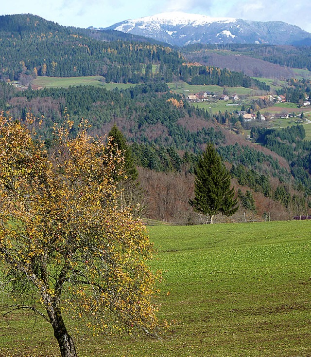 Der Belchen knnte knftig die Gemeind...nau beim Tourismusauftritt verbinden.   | Foto: Archivbild: dsa