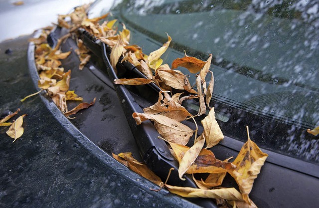Herbstliches Risiko: Wenn sich zwische...Regenablufe. Das ist problematisch.    | Foto: Andrea Warnecke/dpa